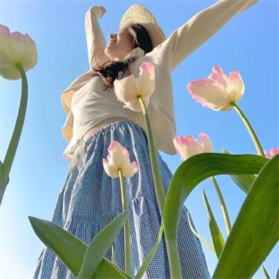 派特森与芬达猫